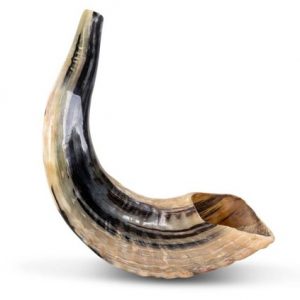 Shofar