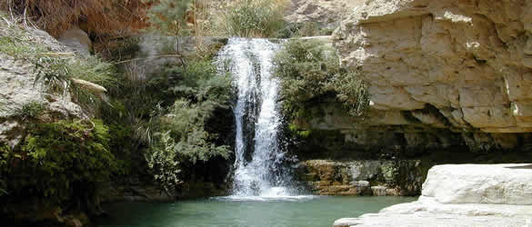 En Gedi Waterfall